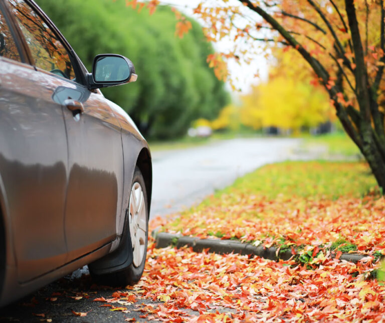 Safe Driving Tips